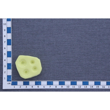 Divoký mák středy - OB silikonová forma