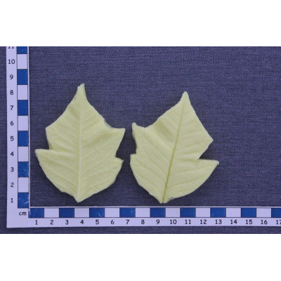 Žilkovač 421 - OB silikonová forma