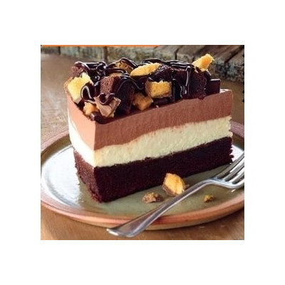 Ztužovač Zeesan Čokoláda 500g