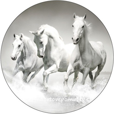Koně bílé tisk na jedlý papír 20 cm 