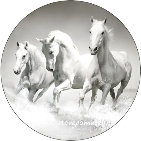 Koně bílé tisk na jedlý papír 20 cm 