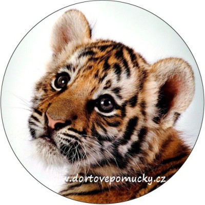 Tygřík  tisk na jedlý papír 20 cm 