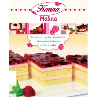 Ztužovač Karina malina 500g