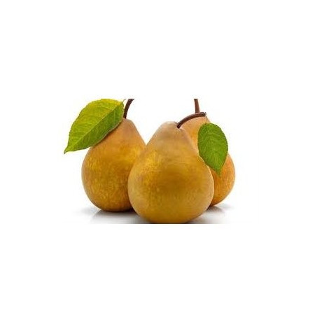 Hruškový ovocný gel 1 kg