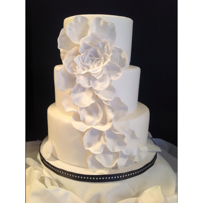 Pasta Dama Top - speciál 500g