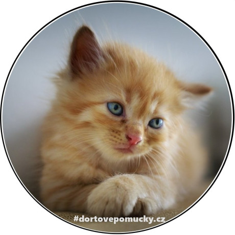 Kočička č.1 jedlý papír 
