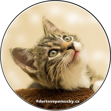 Kočička č.2 jedlý papír 