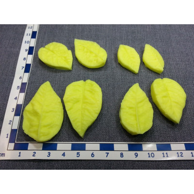 Žilkovač Vánoční růže