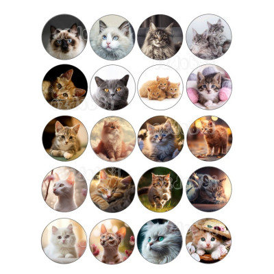 Kočky na cupacake 20 ks - jedlý papír