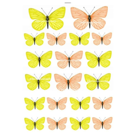 Motýli 3 - jedlý papír 