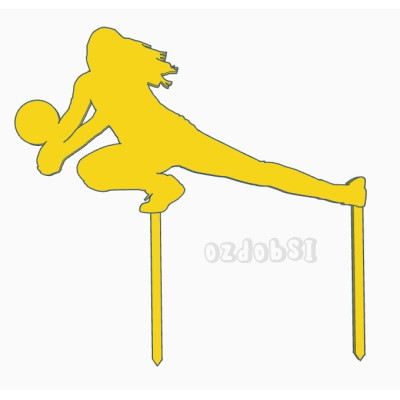 Volejbalistka 1 - dortový zápich