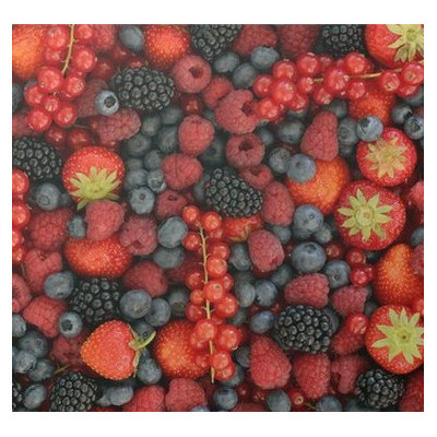 Frutafill lesní ovoce 6 kg