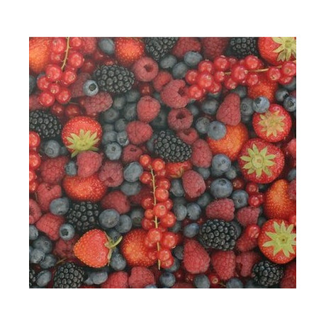 Frutafill lesní ovoce 6 kg