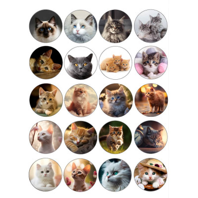 Kočky na cupacake 20 ks - jedlý papír