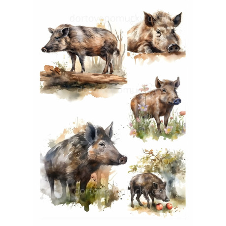 Jedlý papír – myslivecký motiv (divoké prase)