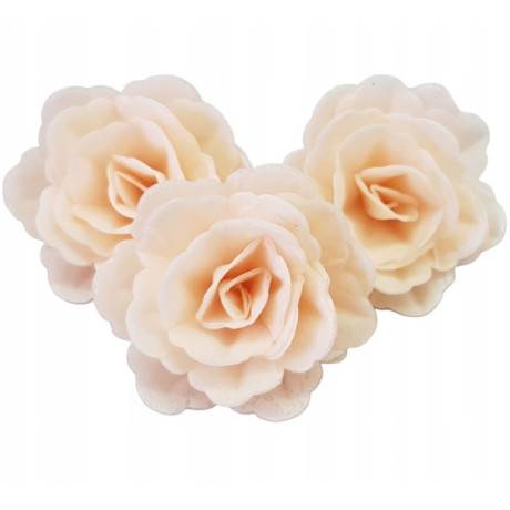 Astra z jedlého papíru – lososově růžová | 1 ks Ø 12,5 cm