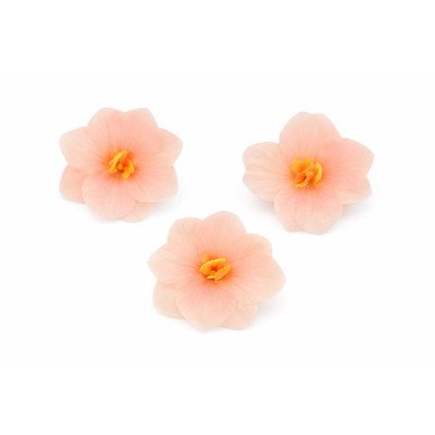 Hortenzie z jedlého papíru – pudrová Jedlé květy na dort