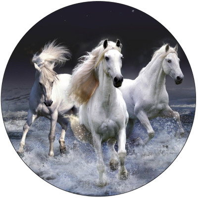 Koně tisk na jedlý papír 20 cm 