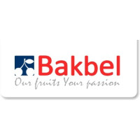 Bakbel